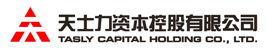 DB视讯资本控股有限公司